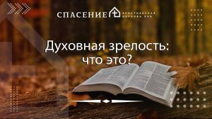 "Духовная зрелость: что это?" Вячеслав Овчинников