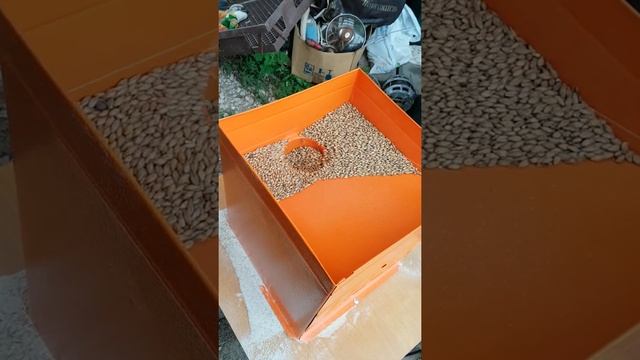 Помол солода