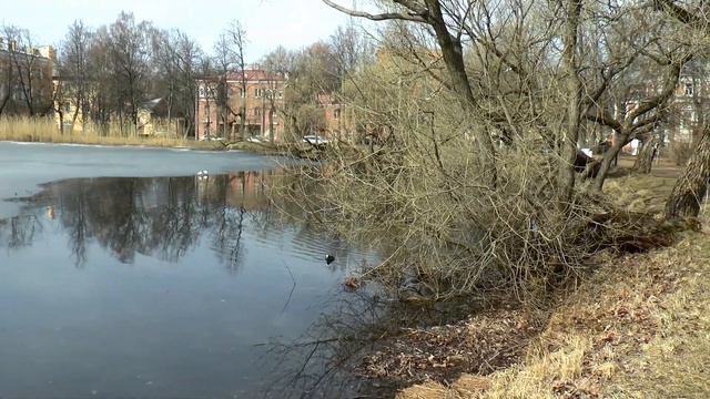 Петергоф - Ольгин пруд. смотреть онлайн