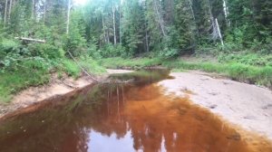 приключения ляли