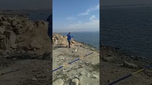 Поездка на рыбалку. Кефаль #рыбалка #удочки #рыба #кефаль #kefal #balıqovu #baliq