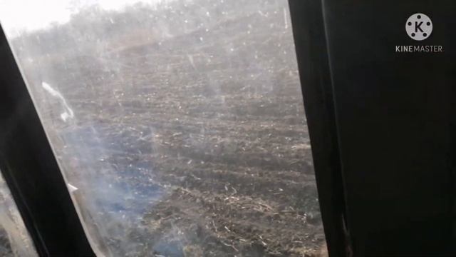 Закрытие влаги культиватором.    МТЗ-80 и навесной культиватор.