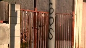 Westside Connection - Bloods and Crips