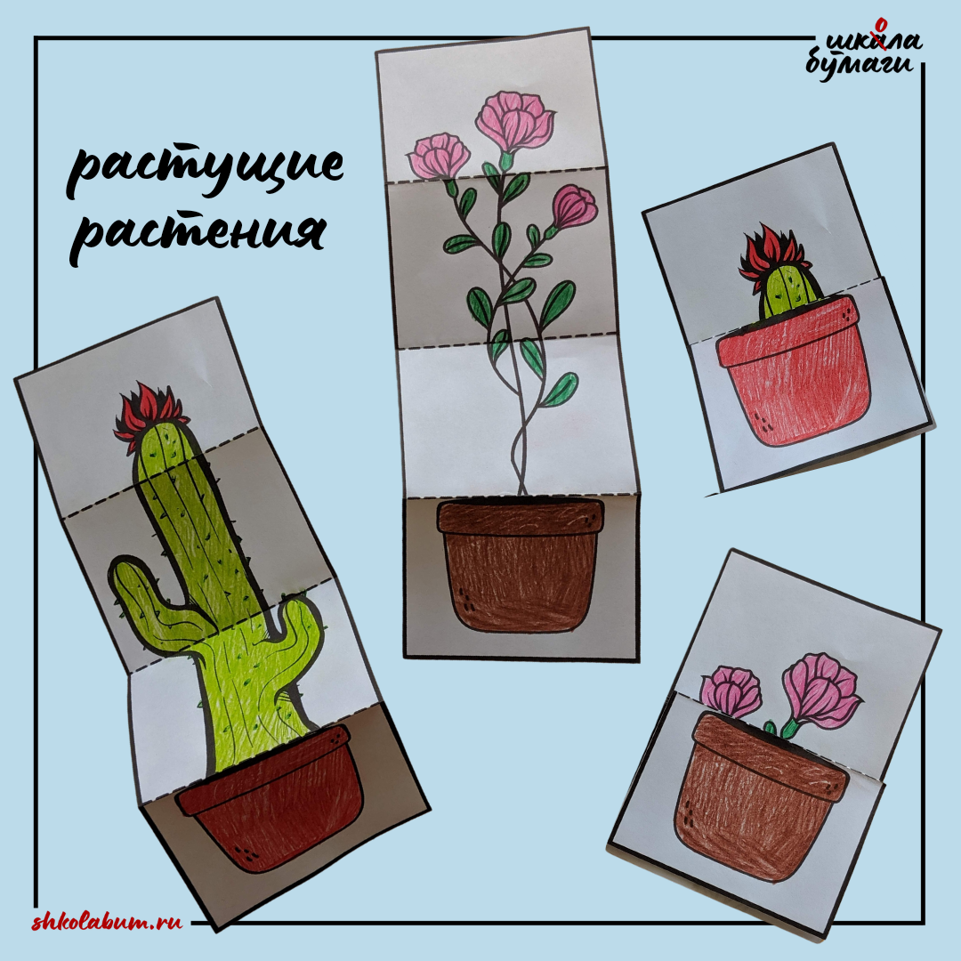 растущие растения - интерактивная поделка