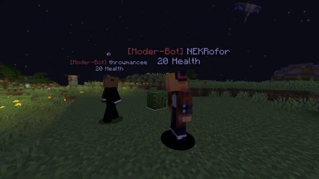 Ванильный приватный сервер BambooLand на версии майнкрафта 1.16.5 смотреть онлайн