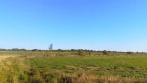 Милый друг, не скучай