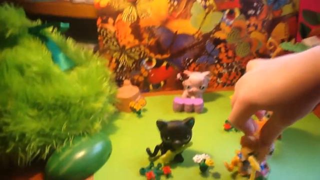 Лпс латина смотреть онлайн