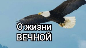 О жизни ВЕЧНОЙ | #УтросБИБЛИЕЙ | Игорь КОСТРОВОЙ