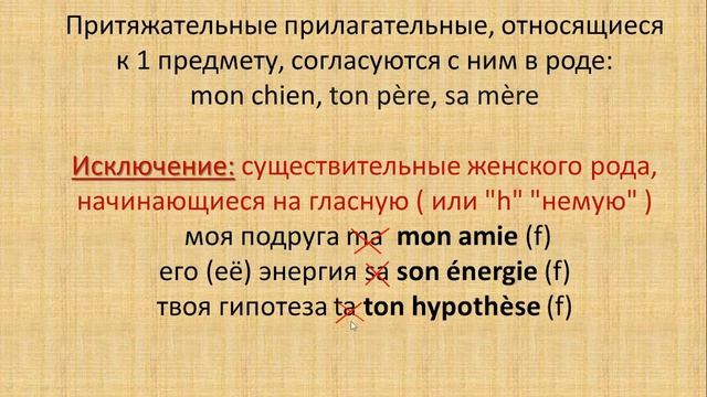 Французские притяжательные прилагательные  МОЙ(МОЯ), ТВОЙ(ТВОЯ), ЕГО(ЕЕ), НАШ, ВАШ, ИХ смотреть онлайн