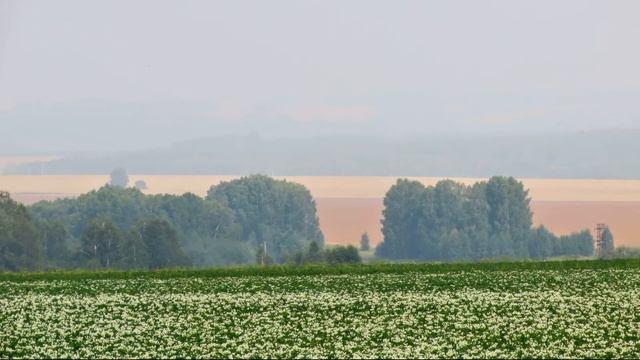 Плодородная земля сибирская, просторы Кузбасса  - дорога домой  Кемерово. ч 7(заключительная)