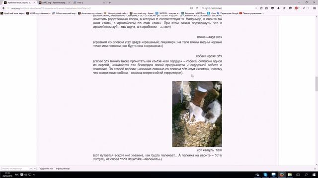 40. Происхождение названий животных в иврите. Млекопитающие смотреть онлайн