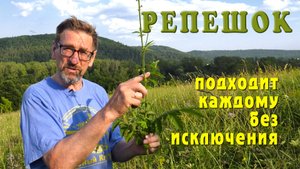 От аллергии — лист, от варикоза — стебель, от рака - корневище