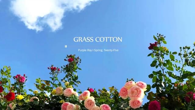 Музыка для создания атмосферы, настроения, удовольствия.Нежная романтичная инструментальная музыка. смотреть онлайн