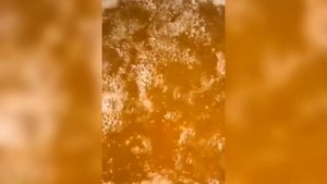 Простой способ приготовления МАСЛА ГХИ в домашних условиях? Где применяется и как хранится МАСЛО ГХ