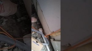 Запуск дизеля котел Навьен