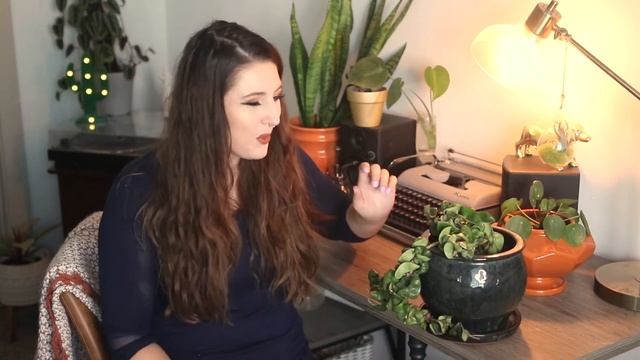 Hoya Carnosa Compacta Hindu Rope Plant Care Guide For Beginners