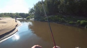 Ловим щуку а клюет язь