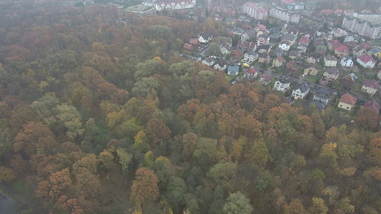 Макс Ашманн парк Калининград, обзор с воздуха смотреть онлайн