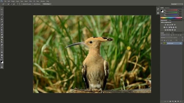 How to Blur Photo Background in Photoshop (Hindi). смотреть онлайн