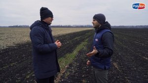Фермер Алексей Гриднев о ЖКУ на озимой пшенице