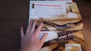 Обзор энциклопедии про животных