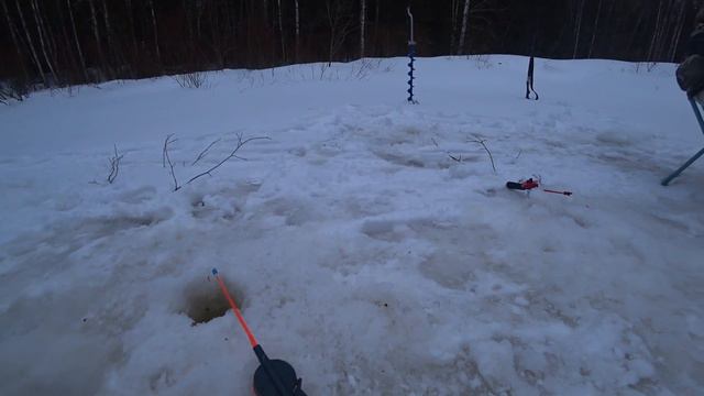 Таёжное счастье/ В поисках хариуса! Попался Кабан!