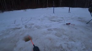 Таёжное счастье/ В поисках хариуса! Попался Кабан!
