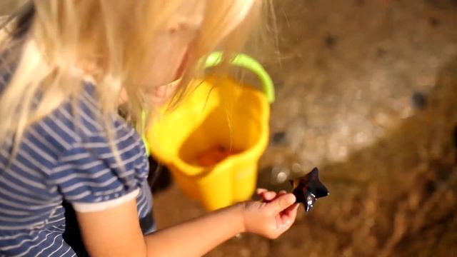 Звук дз 3 смотреть онлайн