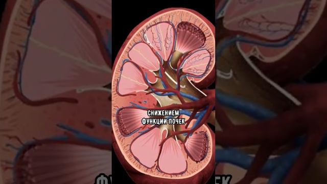 Какой характер у лысых мужчин? смотреть онлайн