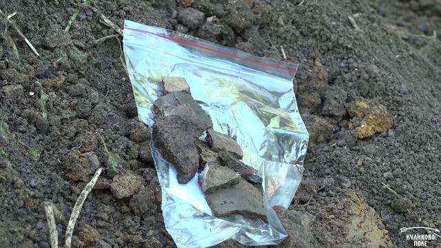 Первые раскопки на территории Епифанского острога смотреть онлайн