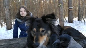 Ворона Капля и собака Марта - неразлучные друзья