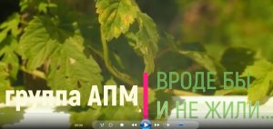 Вроде бы и не жили... 2023