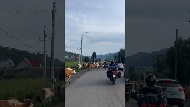 Алтай-Тыва-Хакасия. 2 день. 700 км. Ночуем в палатках) смотреть онлайн