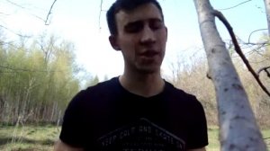 Грубым дается радость(Есенин)