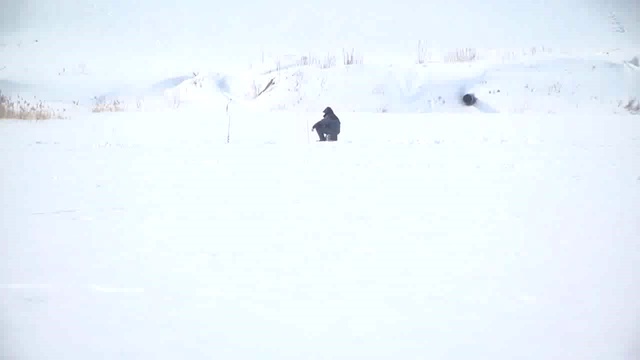 Мотобуксировщик