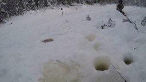 Эта мормышка спасла всю рыбалку. Рыбалка на таежной речке.