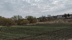 Сею редис и зелень в апреле