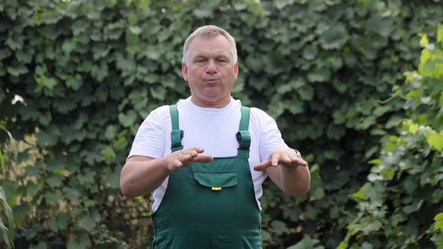 Сидераты. С максимальной пользой используем освободившиеся грядки на участке. Часть  2.