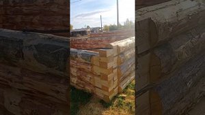 Сруб 3*6 в ласточкин хвост из зимнего леса