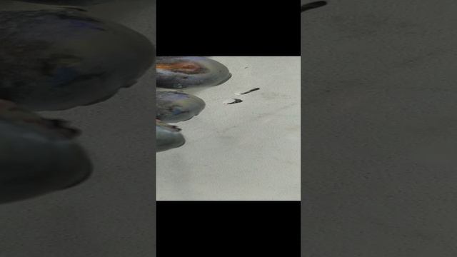 Красота🍓 смотреть онлайн