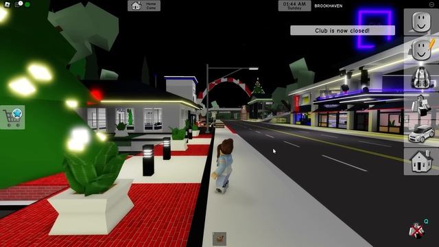 24 ЧАСА в ГРОБУ в Брукхейвен РП Роблокс. Челлендж Brookhaven RP Roblox смотреть онлайн