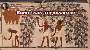 Вино - как это делается? Краткое знакомство с устройством современной винодельни