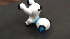 Танцующая собачка робот - Stunt DOG - Каскадер.