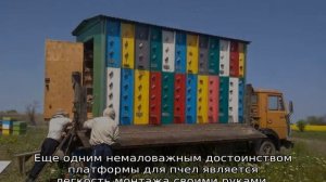 Прицеп для пчел
