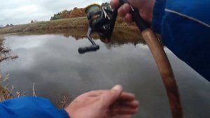 Осенняя рыбалка в Тверской области на щуку...!!!