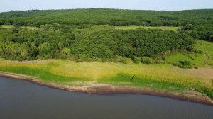 DJI Mini SE - Пуциловское водохранилище 04.07.2022