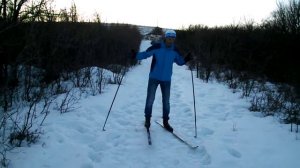 Повороты на месте переступанием