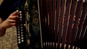 Игра на гармони. А я иду шагаю по Москве!