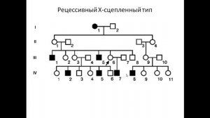 Составление и чтение родословных