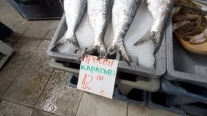 Рыбный базар в Варне 2022: разнообразие и восторг!